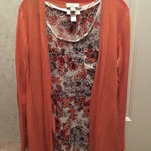 Loft sweater and shell set